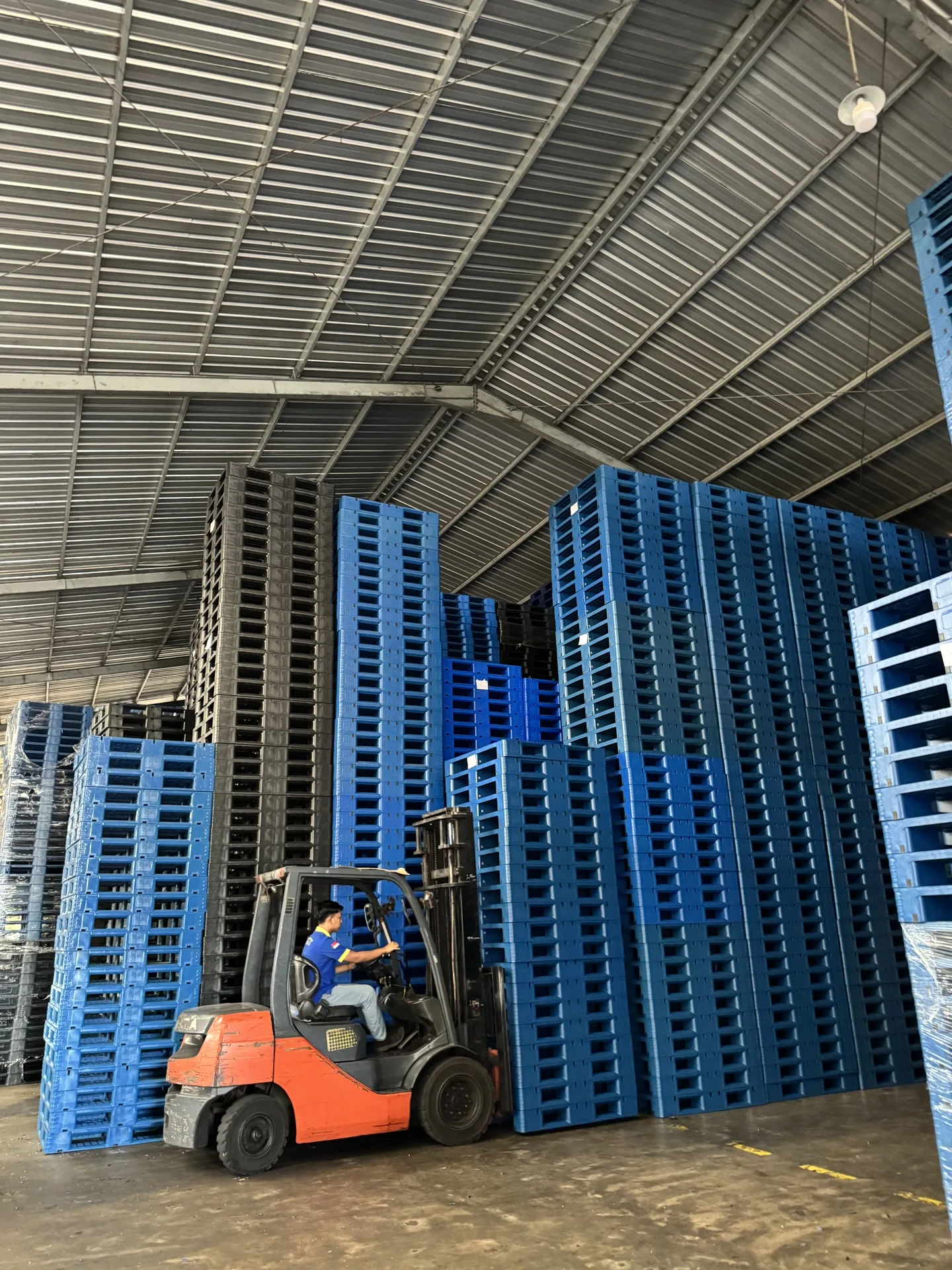 Penanganan pallet plastik dengan forklift