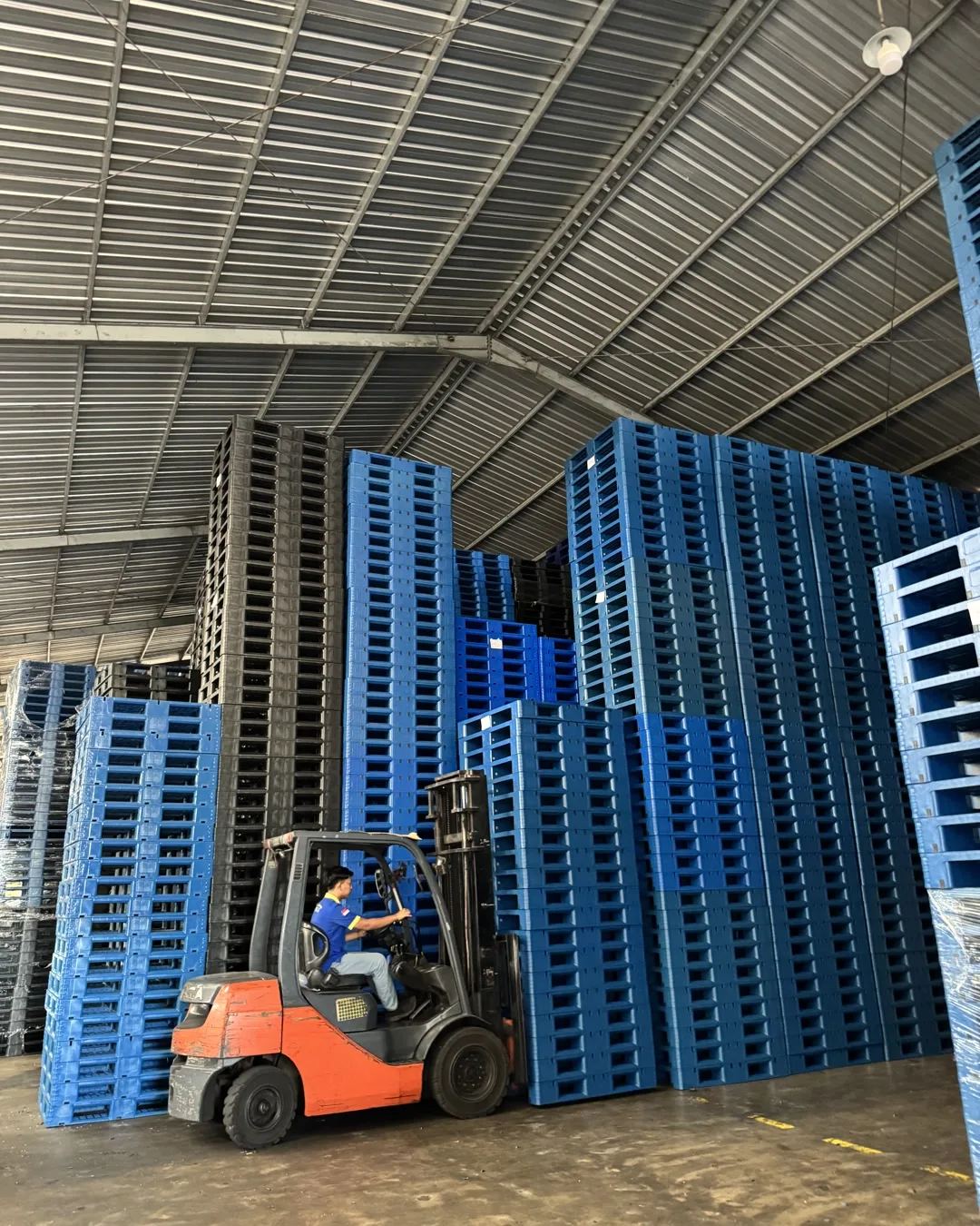 Penanganan stok pallet plastik dengan forklift